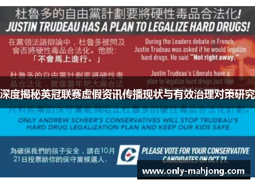 深度揭秘英冠联赛虚假资讯传播现状与有效治理对策研究