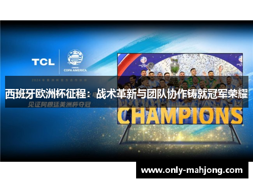 西班牙欧洲杯征程：战术革新与团队协作铸就冠军荣耀